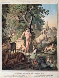 Der Mensch inmitten der Schöpfung - in „Heilige Geschichte“, ed. Hachette von Unknown artist