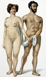 Mann und Frau - Medizinbuch, Ende des 19. Jahrhunderts von Unknown artist