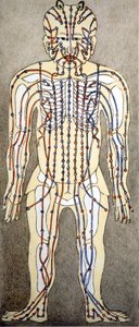 Medizin. Diagramm des menschlichen Körpers aus einem Akupunkturtraktat. Privatbibliothek, Mailand