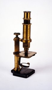 Mikroskop. 19. Jahrhundert