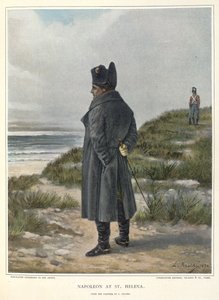 Napoleon auf St. Helena von Unknown artist