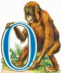 O: Orang-Utan