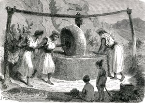 Olivenmühle in Algerien 1885 von Unknown artist