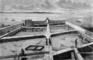 Fischzucht in Concarneau. Gravur von 1860