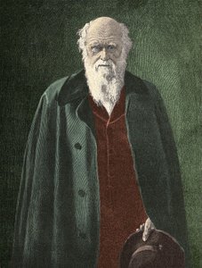 Porträt von Charles Darwin (1809 - 1882) von Unknown artist