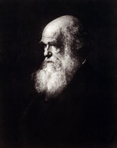Porträt von Charles Robert Darwin (1809 - 1882)