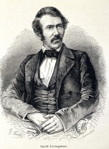 Porträt von David Livingstone, schottischer Missionar (1813-1873) von Unknown artist