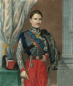 Porträt von Franz II., König der beiden Sizilien (Francesco II. delle Due Sicilie) (1836-1894) mit dem Halsband des Ordens vom Goldenen Vlies - Porträt von Franz II. der beiden Sizilien (1836-1894), König des Königreichs der beiden Sizilien.