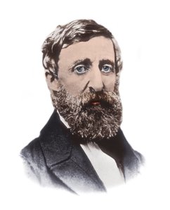 Porträt von Henry David Thoreau (1817-1862) - amerikanischer Essayist, Dichter, Philosoph, Abolitionist, Naturforscher, Steuerverweigerer, Entwicklungskritiker, Landvermesser und Historiker von Unknown artist