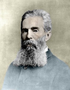 Porträt von Herman Melville (1819-1891), amerikanischer Schriftsteller. von Unknown artist