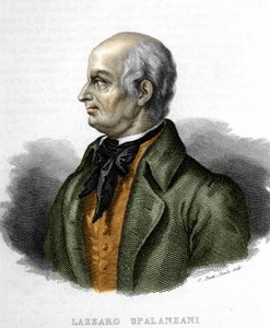 Porträt von Lazzaro Spallanzani, italienischer Biologe (1729-1799) von Unknown artist