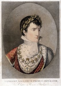 Porträt von Napoleon, Kaiser