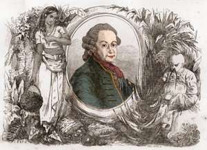 Porträt von Pierre Poivre (1719-1786), französischer Kolonialverwalter und Agronom. von Unknown artist