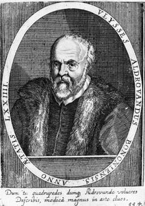 Porträt von Ulisse Aldrovandi (1522 - 1605?).