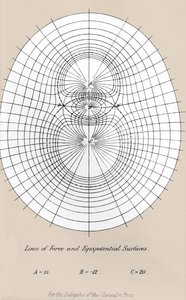 Stromleitungen und Äquipotentialflächen - in „A Treatise on Electricity and Magnetism“ Oxford von Unknown artist
