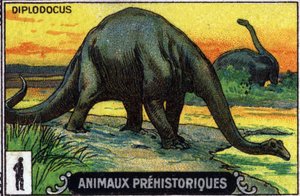 Prähistorisches Tier: ein Diplodocus-Dinosaurier
