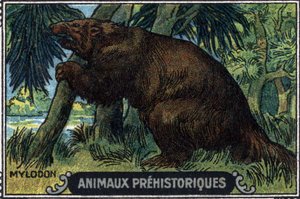 Prähistorisches Tier: ein Mylodon. von Unknown Artist