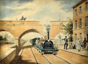Rothirsch, ca. 1850 von Unknown artist