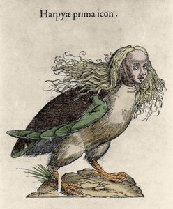 Darstellung einer Harpyie. Gravur von Ulisse Aldrovandi (1522-1605), „Monstrorum Historiae“, Bologna 1642