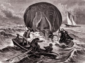 Rettung des Habs-Balls, veranstaltet von Herrn und Frau Durouf. Schiffbruch an der Küste Englands am 1. September von Unknown artist