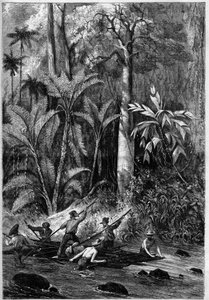 Straßenbau in Mittelamerika: Durchbruch durch den Isthmus von Panama. Floß, das den Lauf des Rama hinunterfährt. Nach einer Zeichnung eines Offiziers der Expedition von Captain Bedford Pim. Gravur in „Das illustrierte Universum“