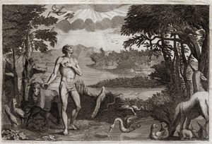 Royaumont-Bibel, Altes Testament: Schöpfung von Mann und Frau. Gott, der den Menschen erschaffen hat, setzt ihn ins irdische Paradies und verbietet ihm, von der Frucht des Baumes der Erkenntnis von Gut und Böse zu essen. Illustration von 1811