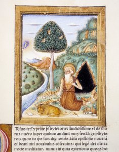 Heiliger Hieronymus - Miniatur von Unknown artist