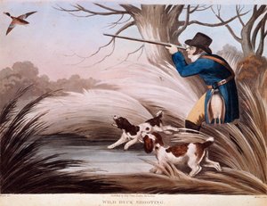 Szene der Entenjagd in England von Unknown artist