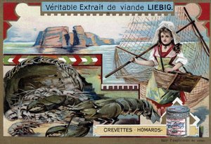 Garnelen und Hummer, mit einer jungen Fischerin, die ihren Korb und ein großes Netz trägt - Liebig Chromolithographie