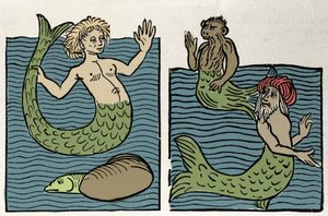 Sirene oder Jungfrau des Meeres, Affe und Seetürke. Gravur aus „Hortus sanitatis“