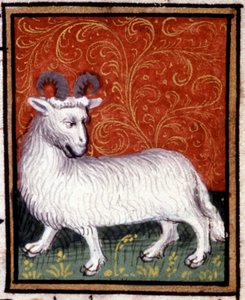 Der Widder. Miniatur eines Horoskops. Manuskript aus dem 15. Jahrhundert. Bibl. Trivulziana, Mailand von Unknown artist