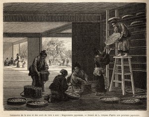 Die Zucht und der Handel mit Seidenraupenkokons: eine Magnanerie für die Seidenraupenzucht, mit im Hintergrund der Anbau von Maulbeerbäumen, die für die Fütterung von Bombyx unerlässlich sind. Gravur zur Illustration der Reise nach Japan, von Aime Humbert, von Unknown artist