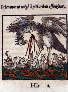 Die Legende des Pelikans: Er gibt sein Blut und seine Eingeweide, um seine Jungen zu füttern. Aus Historiae animalium von Konrad Gesner, Tiguri