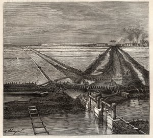 Die Salzwiese von Giraud in der Camargue (Bouches-du-Rhône), Ansicht vom Dienstkanal - Gravur in 