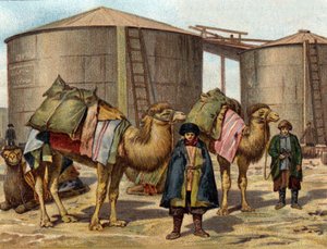 Der Transport von Öl auf Kamelen im Kaukasus