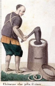 Ein Chinese, der Reis plündert - in Il costume universale di tutti i popoli del mondo (Die universelle Tracht aller Völker der Welt) von Unknown artist