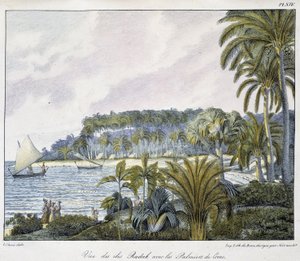 Ansicht der Radak-Inseln des Marshall-Insel-Archipels.