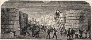 Ansicht des Kellers im Château - Lafitte im Jahr 1860