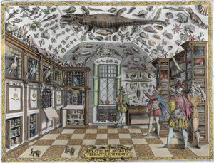 Ansicht des Museums (Kabinetts) der Kuriositäten (enzyklopädisches Museum) des Apothekers Ferrante Imperato (1550 - 1631). Gravur von 1678. Museum des neapolitanischen Apothekers Ferrante Imperato.