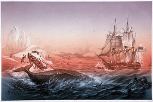 Walfangschiff konnte seine gekenterten Boote nicht retten von Unknown artist