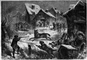 Wolfsjagd im Dorf Saliers, Bouches du Rhône (13), 31. Dezember 1860. Gravur in 