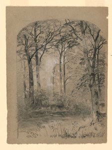 Waldstudie, 1865–70 von Unknown artistUnknown artist