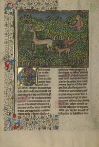 Ein Jäger und Hunde verfolgen ein Damwild