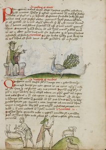 Ein König auf dem Thron spricht zu einem Pfau; Ein Hirte tötet einen Widder; Ein Hirte mit einem Stab und einem Messer vor zwei Ziegen von Unknown artist