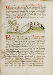 Ein Löwe und ein anderer Löwe mit einer Maus von Unknown artist