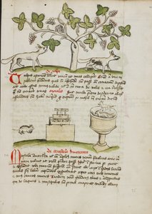 Ein Wiesel und mehrere gefangene Mäuse von Unknown artist