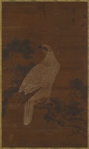 Ein Weißer Adler auf einem Kiefernzweig