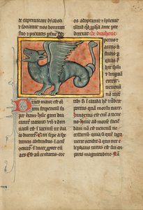 Ein geflügelter Drache