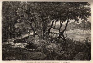 Eine Hängebrücke im Terai ("Feuchtgebiet"), diese Gegend aus sumpfigen Wiesen bildet die Basis des Himalayas und grenzt südlich an die indische Grenze. Illustration der Erkundung Oberasiens von 1854 bis 1857, von den Schlagintweit-Brüdern von Unknown artist