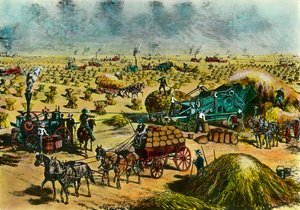 Landwirtschaftliche Revolution: Weizenernte in Dakota